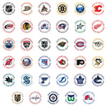 Load image into Gallery viewer, NHL® All-Star Kit
